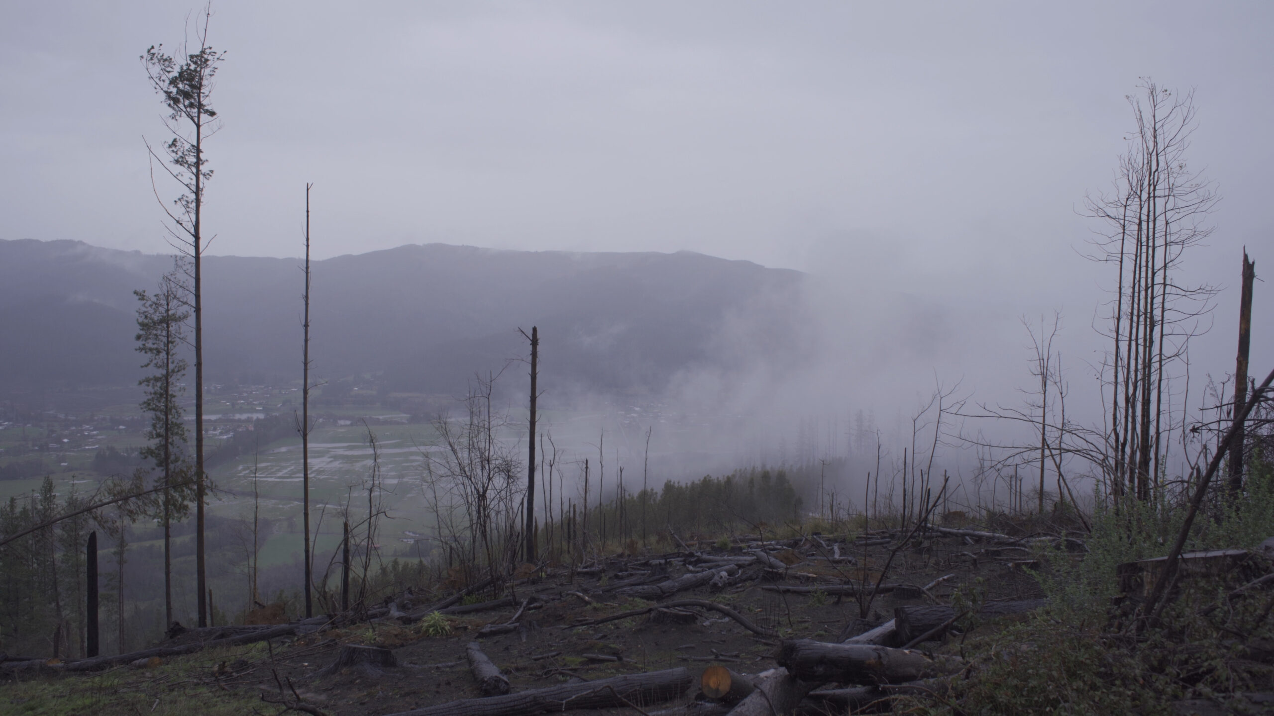 “En el camino a casa” está en DOCUMENTA SUR con una mirada distinta sobre el conflicto Mapuche