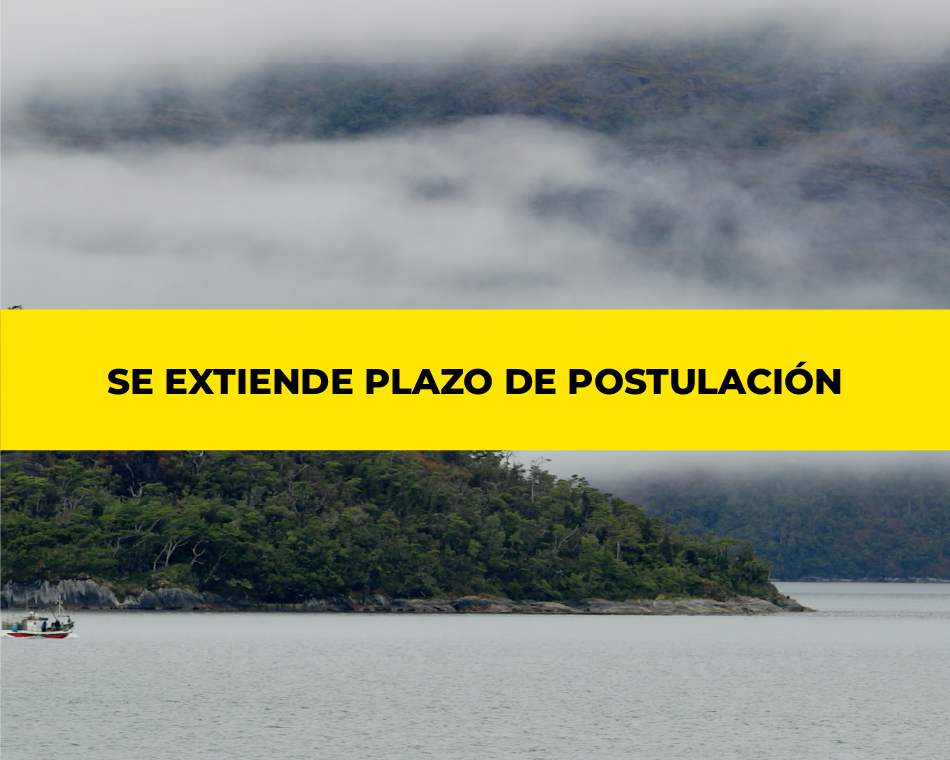 DOCUMENTA SUR DISTRIBUCIÓN extiende plazo de postulación hasta el 17 de julio